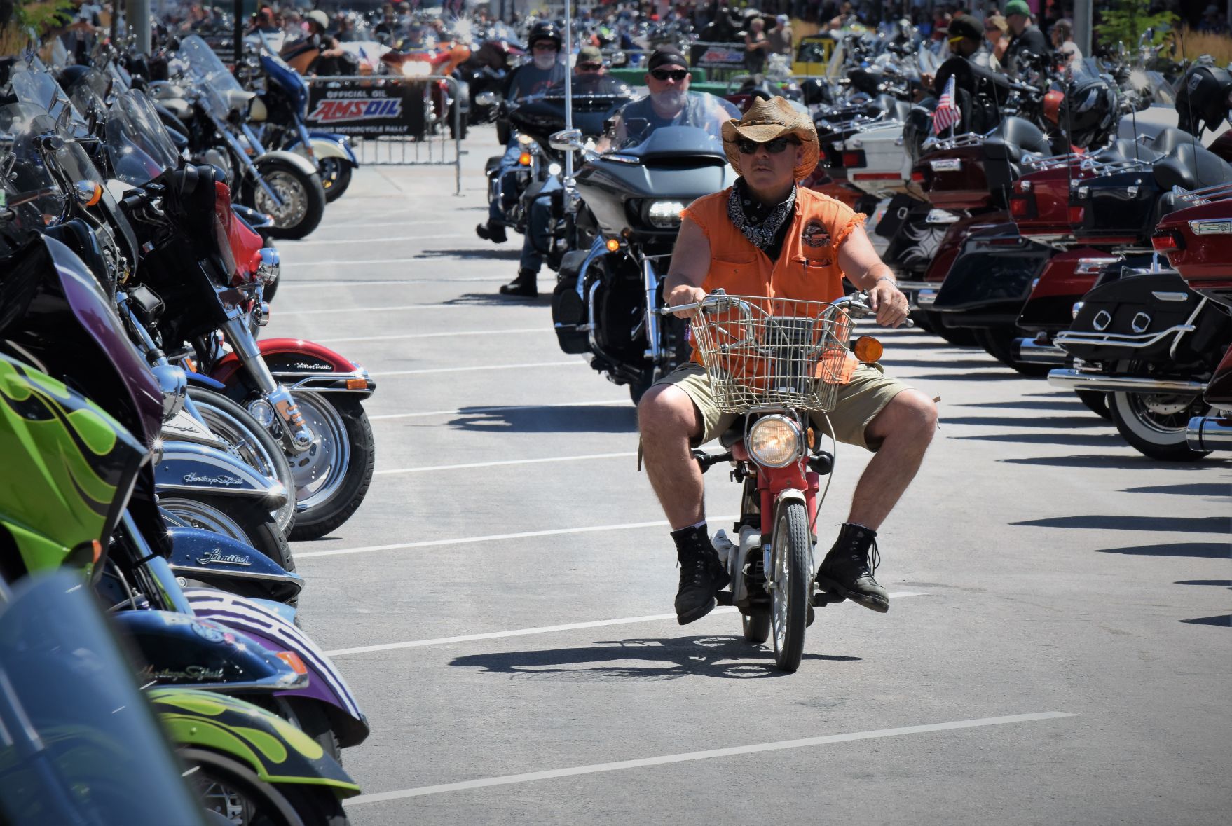 Mini hogs are welcome too